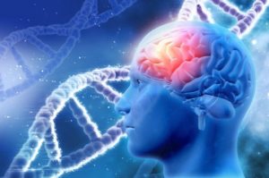 Vitamin B6 Deficiency, Symptoms and Signs in adults Abnormal brain cell activity (Epilepsy)
